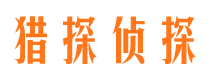 皮山侦探公司